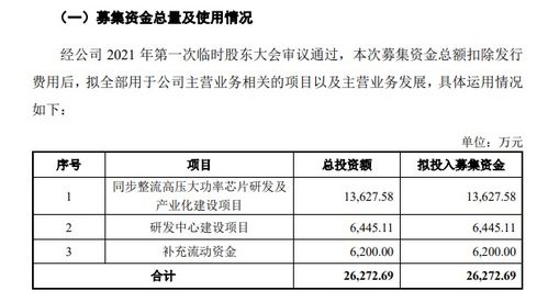 芯龍半導(dǎo)體科創(chuàng)板IPO獲受理，軟件驅(qū)動(dòng)下的電源管理新篇章