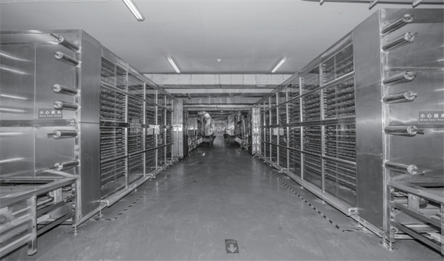 大連弘潤(rùn) 以“品質(zhì)力量”加冕，無(wú)麩質(zhì)有機(jī)面如何重塑行業(yè)標(biāo)桿與市場(chǎng)格局